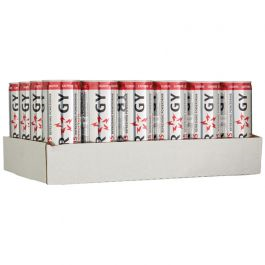 Slammers Energy 24x25cl **actie**