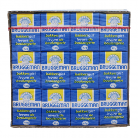 Bruggeman Gist 12x42g