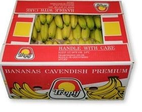 BANAAN KIST 18kg